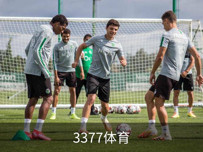 3377体育简介